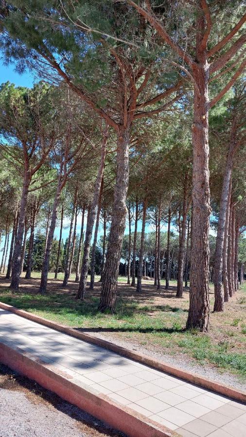 Cocon De Douceur A 10 Min De La Plage Alénya Buitenkant foto